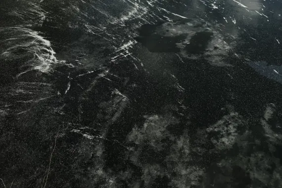 카지노 스펙트라 빙고 지원